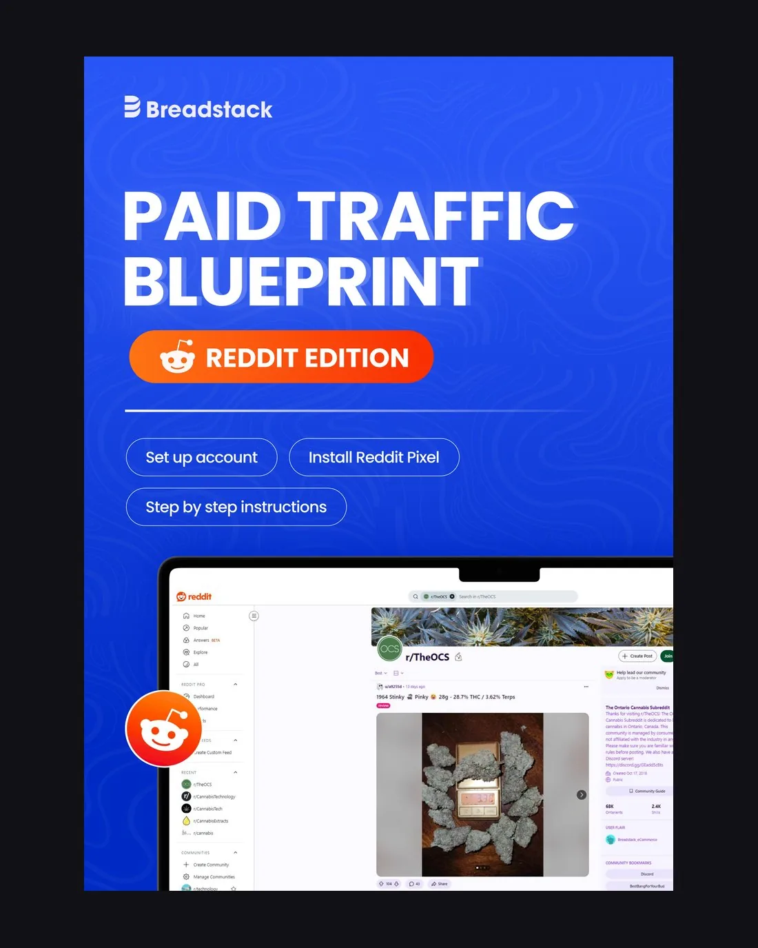 Cover of the paid traffic blueprint written for advertising on Reddit.