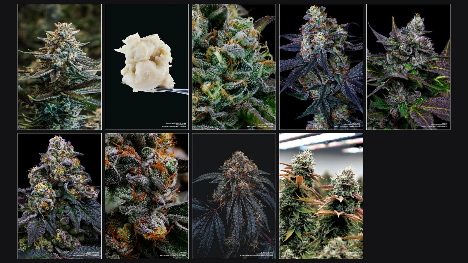 Nine 24 by 36 inch posters of macro cannabis photography, each credited to its producer and photographer.